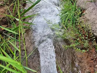 باغ و باغچه173متری/کنتوربرق/تهاترباخودرو