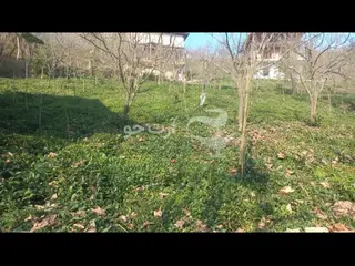 260 مترزمین بافت مسکونی.    بالابند