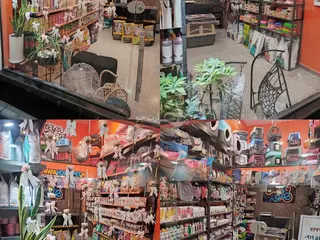 هلوپت پت شاپ در پردیس