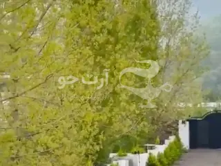 خرید و فروش زمین درمجموعه      باویو ابدی جنگل 