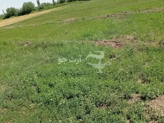 زمین کشاورزی خوش موقعیت 7500 متر قزلداغ عجم