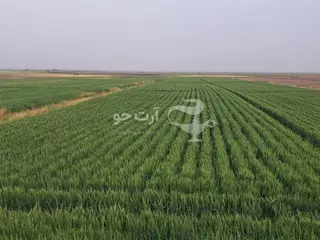 11 هزارمترمربع زمین سند ششدانگ با حقابه دائمی