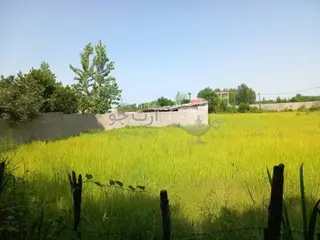 زمین ویلای قیمت مناسب