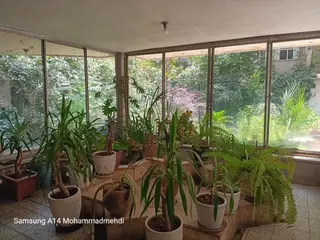 570متر کلنگی
