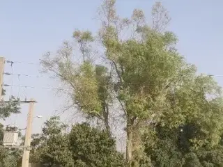 فروش زمین 3000 متری سند تک برگ چهار دیواری