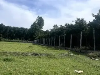 پلاک های 150متری وبه بالا داخل بافت سندتکبرگ/شمال
