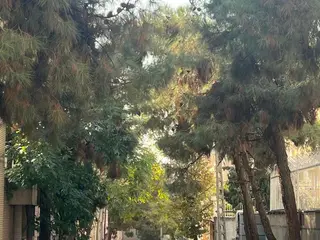405 متر_ ویلا شهران 2 کله رو به پارک فضای سبز/کوه