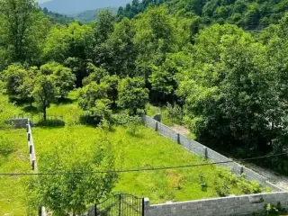 یه تیکه از بهشت بااین پلاک زمین/شمال