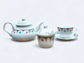 سرویس پذیرایی 17پارچه