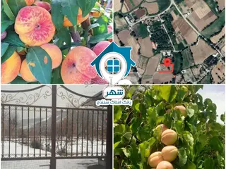 فروش باغ حومه شهر